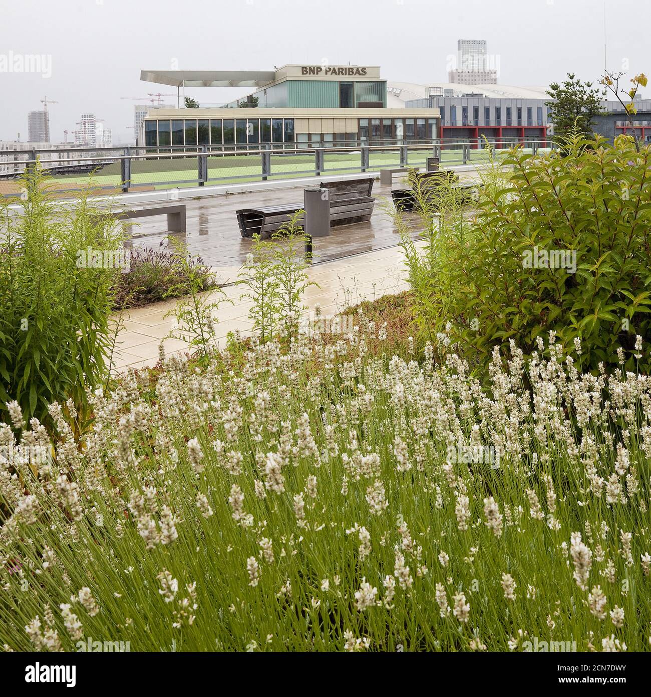 Grüne Dachterrasse Skyline Garden am Einkaufszentrum Skyline Plaza, Frankfurt, Deutschland, Europa Stockfoto