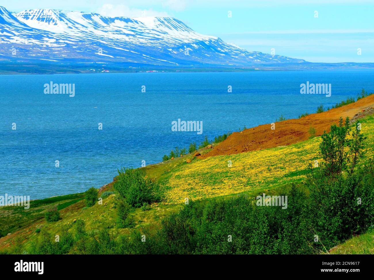 Idyllisch ruhige Landschaft am Fluss bei Akureyri, Island. Tolle isländische Fjorde. Schöner Sommer im Norden. Stockfoto