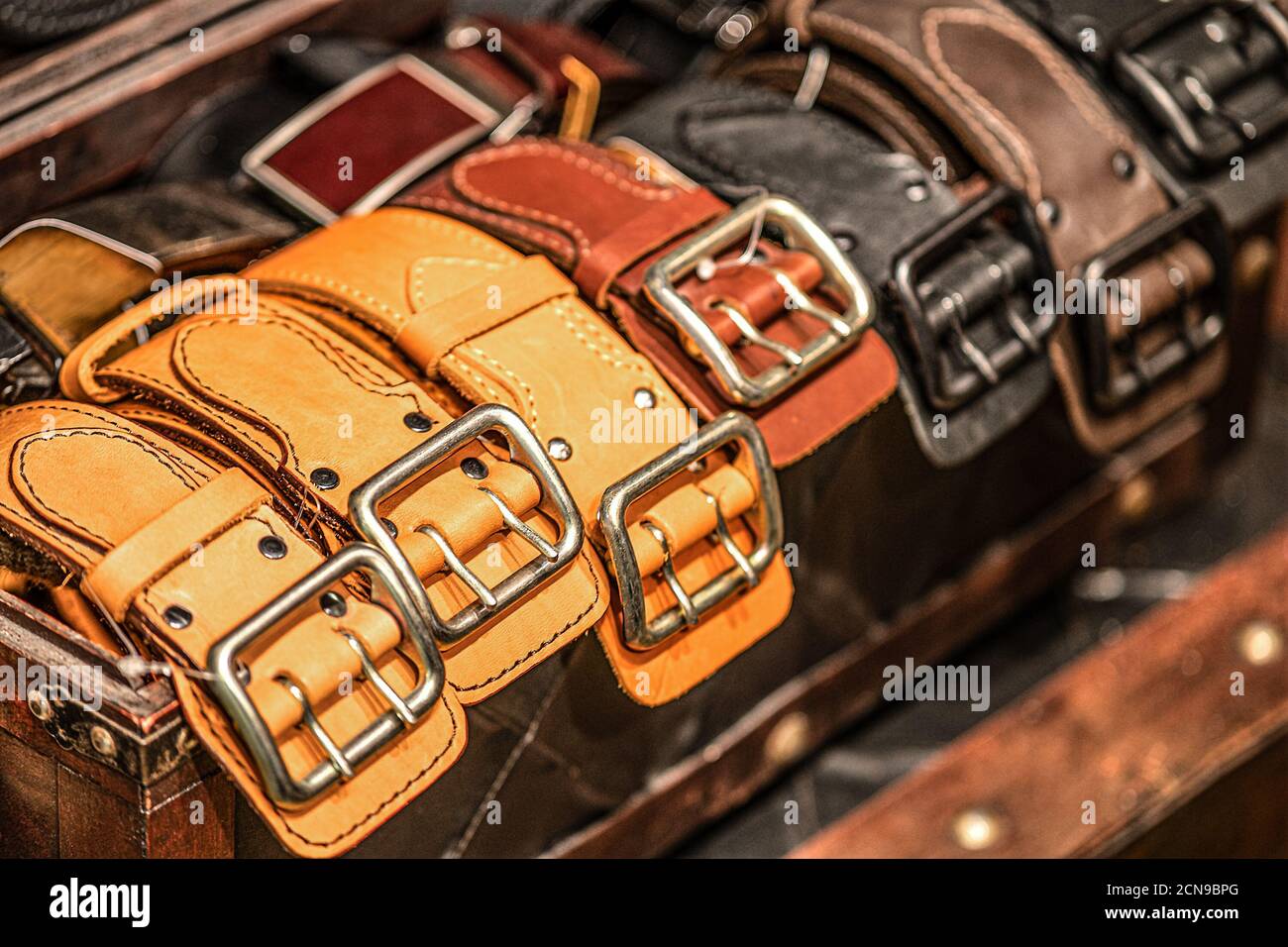 Ledergürtel mit goldglänzenden Schnallen. Handgefertigt aus echtem Rindsleder Stockfoto