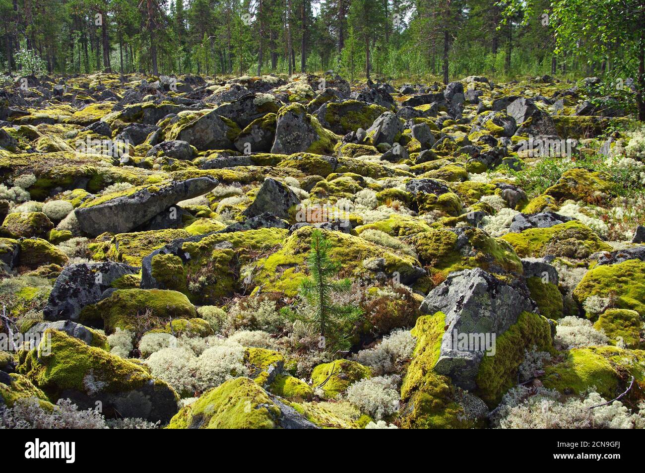 Spur der steine Fotos und Bildmaterial in hoher Auflösung Alamy