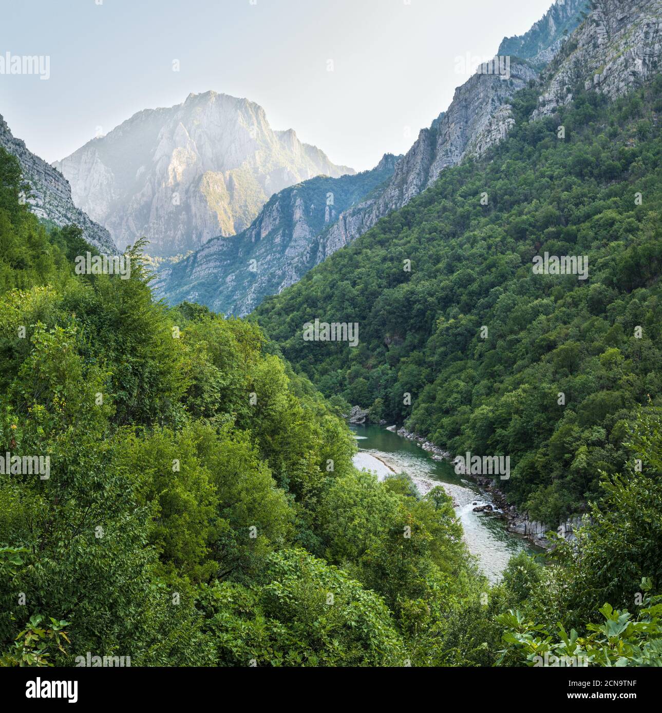 Sommerberg Moraca River Canyon, Montenegro. Stockfoto