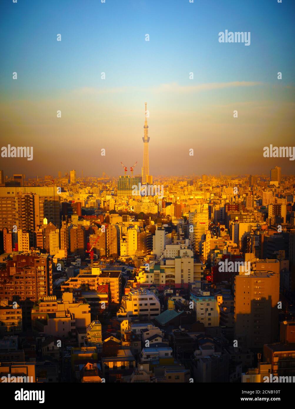 Himmel Baum und Sonnenuntergang Stockfoto