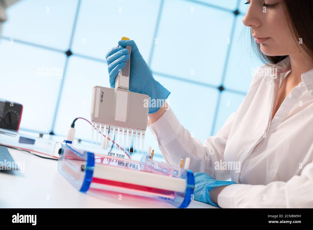 Laden von Samples und läuft einem Agarosegel für Elektrophorese Gelelektrophorese ist der Standard lab Verfahren zur Trennung von DNA Stockfoto