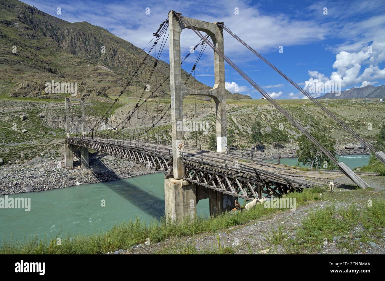 Alte Hängebrücke über Bergfluss, Altai, Russland. Stockfoto