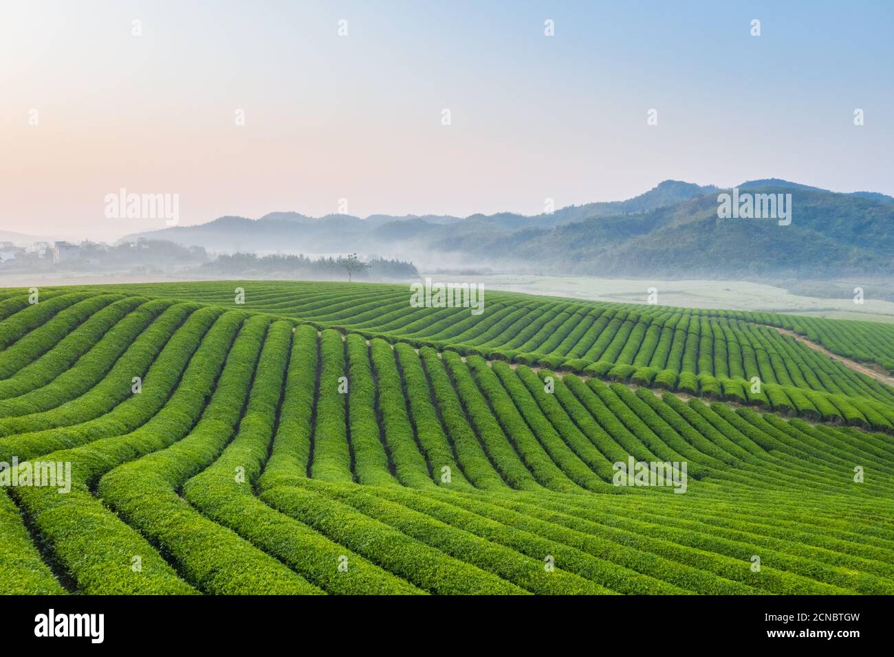 Teehaus Landschaft Stockfoto