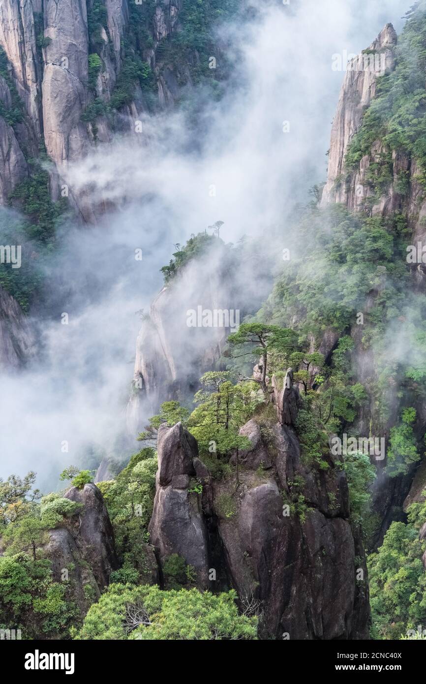 Schöner Berg sanqing im Nebelnebel Stockfoto