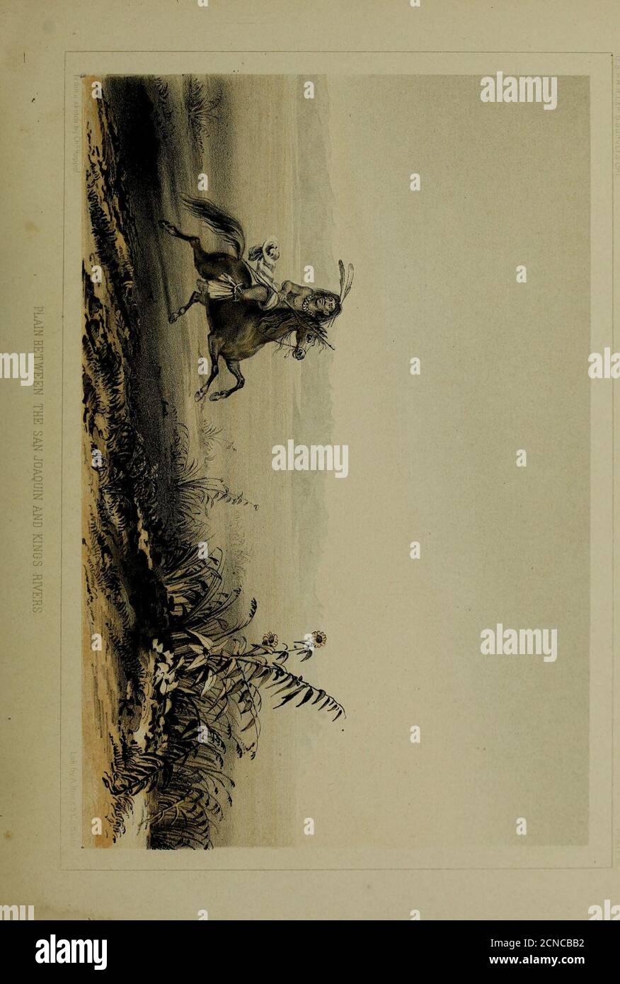 . Berichte von Erkundungen und Erhebungen, um die praktischste und wirtschaftlichste Route für eine Eisenbahn vom Mississippi zum Pazifischen Ozean zu ermitteln. Stockfoto