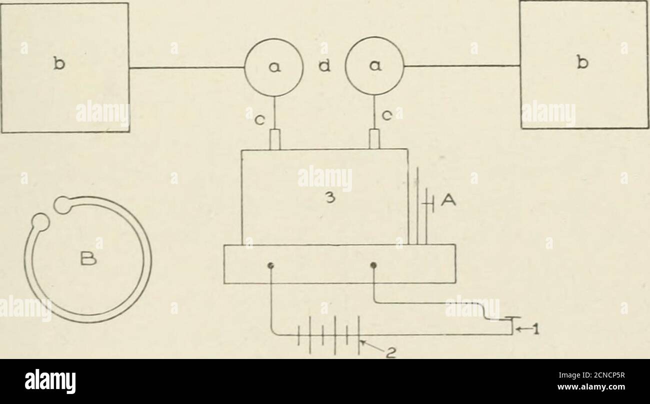 . Cyclopedia der angewandten Elektrizität : ein praktischer Führer für Elektriker, Mechaniker, Ingenieure, Studenten, Telegrafen und Telefonbetreiber, und alle anderen interessiert an Elektrizität. Aufgenommen von grobstofflichen Materie wurde Ulled mit einem luirhly abgeschwächt subtile substancenamed Äther, Und von whicli war er in der Lage, Konto logisch forall die Phänomene des Lichts, Faraday, in 1845, nicht nur glaubte an Iluygens luniiniferousether, sondern zeigte durch Experiment, dass elektrische und magnetische Kräfte wurden propagiert durch das gleiche Medium. Dieser physische Beweis wurde von ^Ma in ein mächtiges theoretisches System aufgelöst Stockfoto