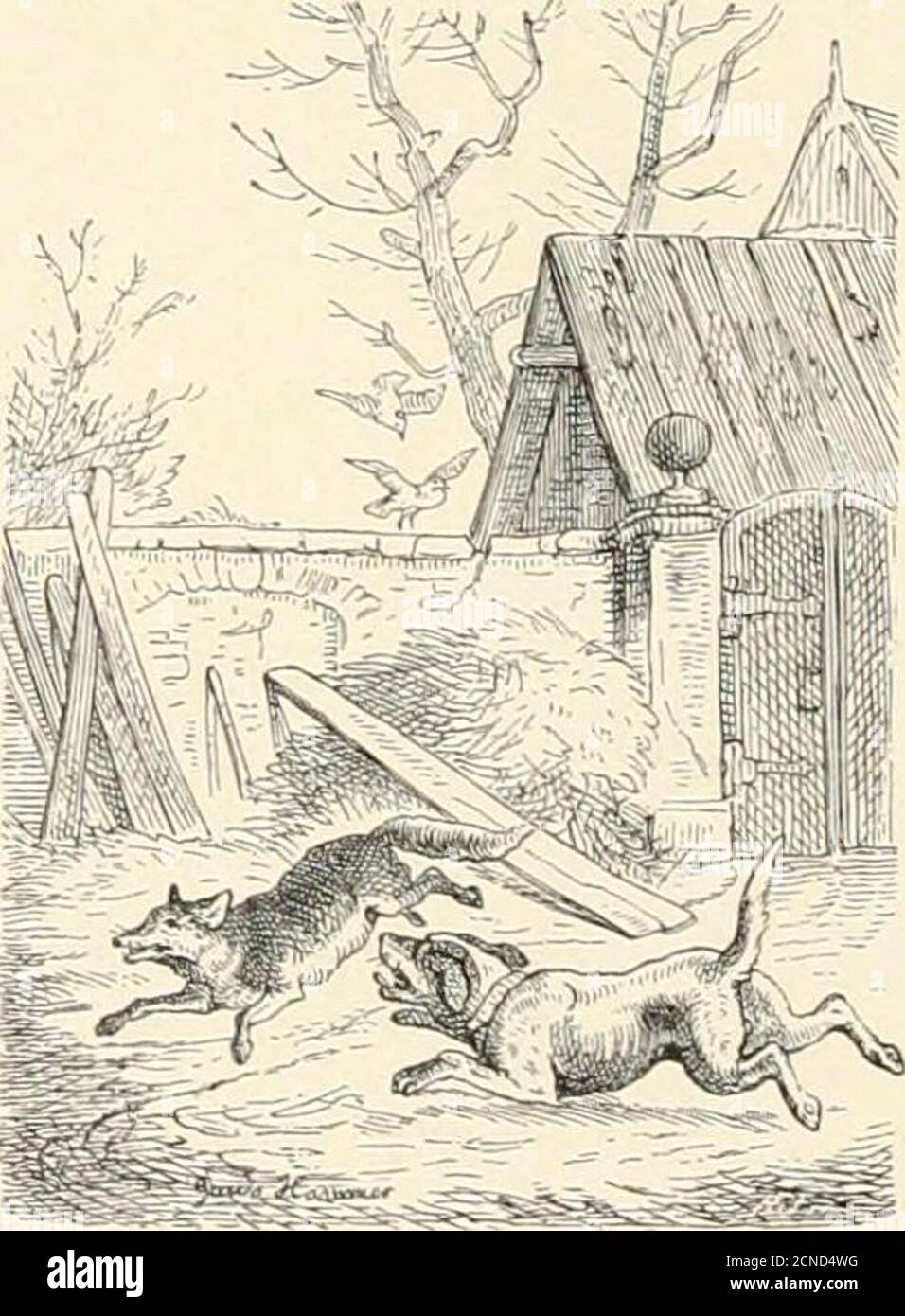 . Robert Reinicks Marchen, Lieder und Geschichtsbuch . Ü,^n bcr Dtcitje niöc^t id)i- feljen;Safet eud) boc^ f)erab ju mir,6ure ^^fötf^f möd)V icf) erfüllen,Jänubcfien! o erlobt e§ mir! – ®irrenb tjörten e§ bie Stauben,Singen an, bem guc^S ju glauben. „3arte Sauben! Fü§e Sauben! D as girret il)r fo jdjön. Seiber ift mein £)£)r ersattet, UNB icf) fannio nidjt gut Oerftef^n. ©ü^e, allerliebfte Souben! Stieget bod; gu mir f)ernieber, SAB fein ^aut^ ücrioren gef)e SSON bem Stange eurer Sieber! – Sfatternb borten e§ bie Sauben,§ lüar fo fd)ijn, bem guc^ä ju gtaubeu. „SBefd) ein Stnbtict! o mie ,^ie Stockfoto