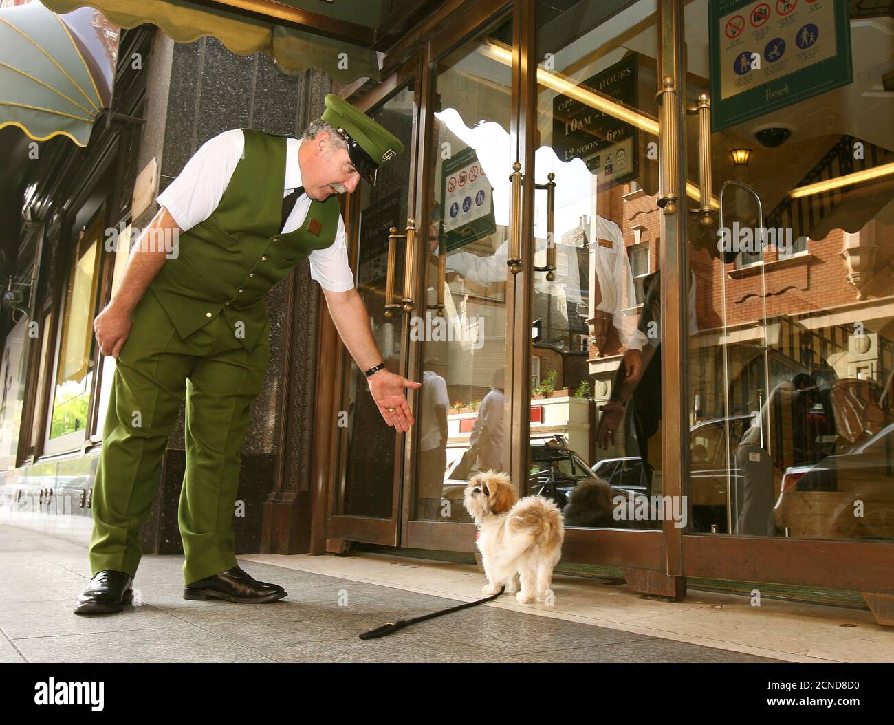 hundehochzeit stockfotos und bilder kaufen alamy