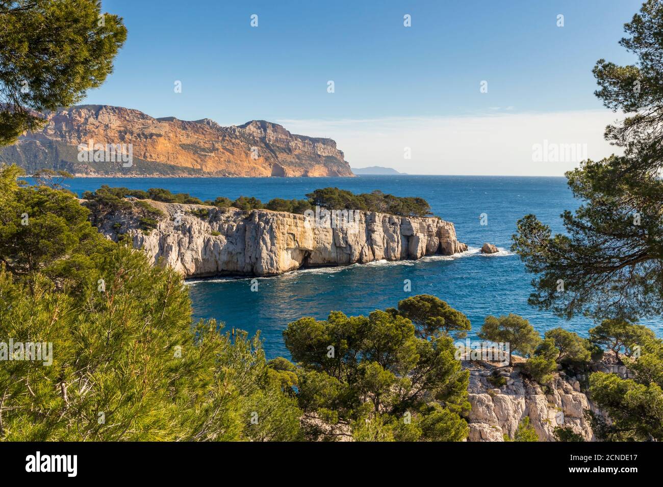Blick über die Calanque de Port Pin und Cap Canaille, Calanques Nationalpark, Cassis, Bouches du Rhone, Provence, Frankreich, Mittelmeer, Europa Stockfoto