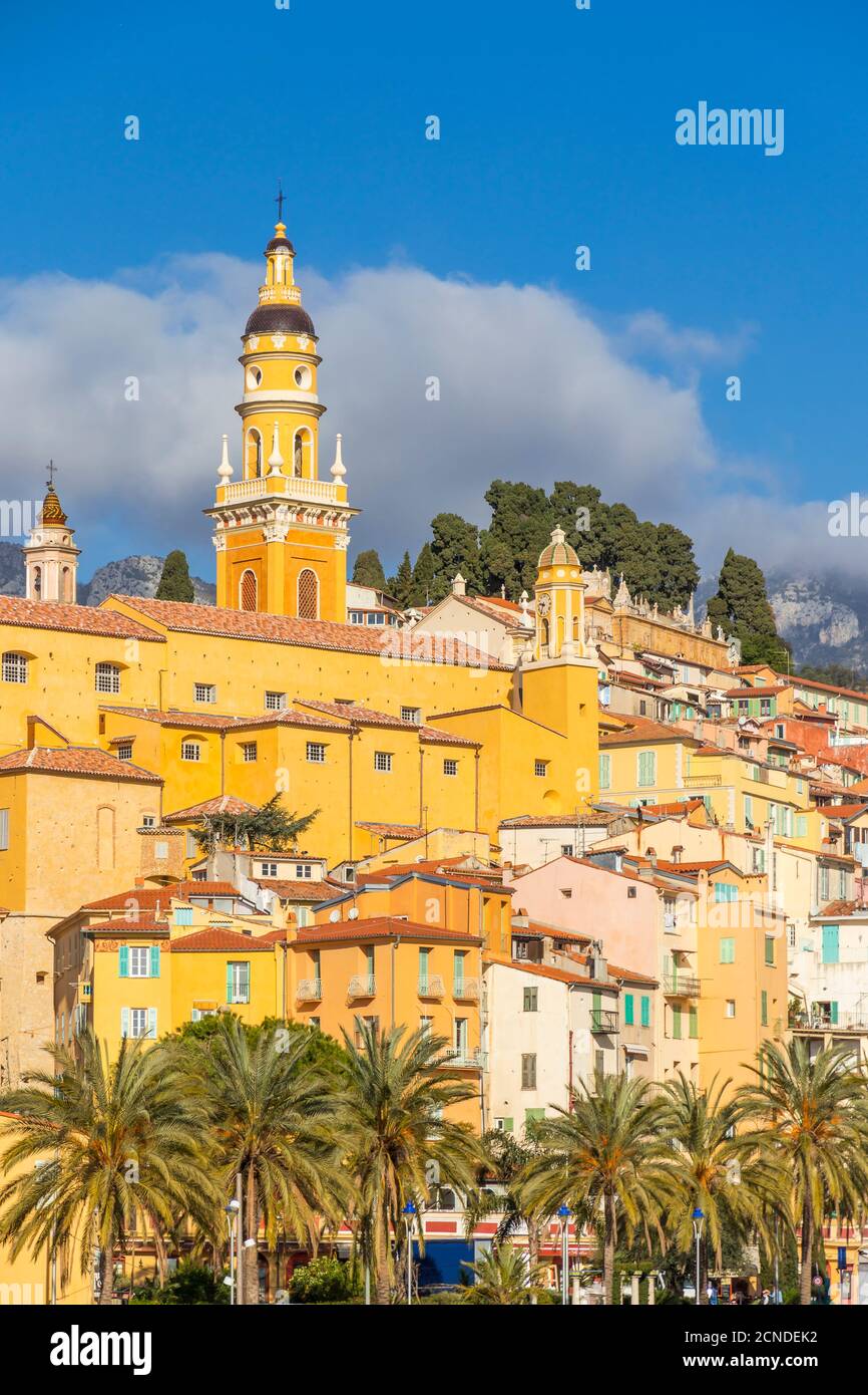 Die Altstadt mit der Basilika Saint-Michel-Archange, Menton, Alpes Maritimes, Cote d'Azur, Französische Riviera, Provence, Frankreich, Mittelmeer, Europa Stockfoto