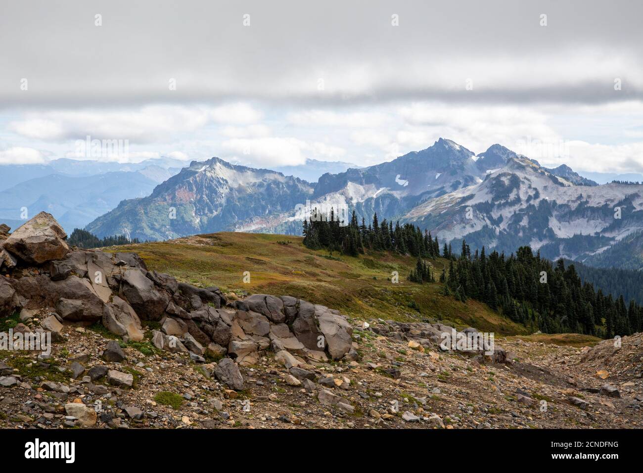 Blick auf den Deadhorse Creek Trail, Mount Rainier National Park, Washington State, Vereinigte Staaten von Amerika Stockfoto