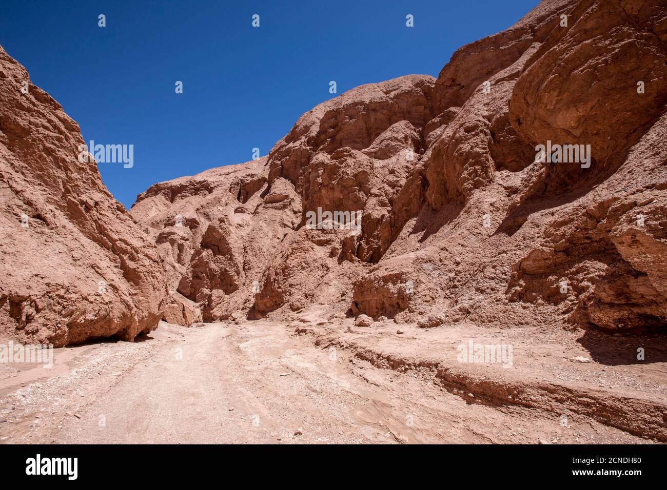 Sonnenversengte Hügel bei Quebrada de Chulacao, Catarpe Valley in der Atacama Wüste, Chile Stockfoto