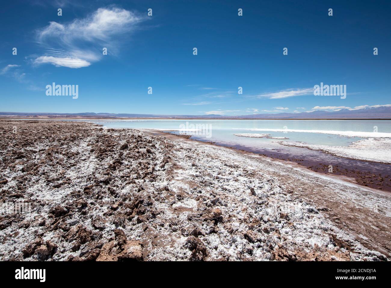 Laguna Tebenquicne, eine Salzwasserlagune im Salar de Atacama, Nationalpark Los Flamencos, Chile Stockfoto