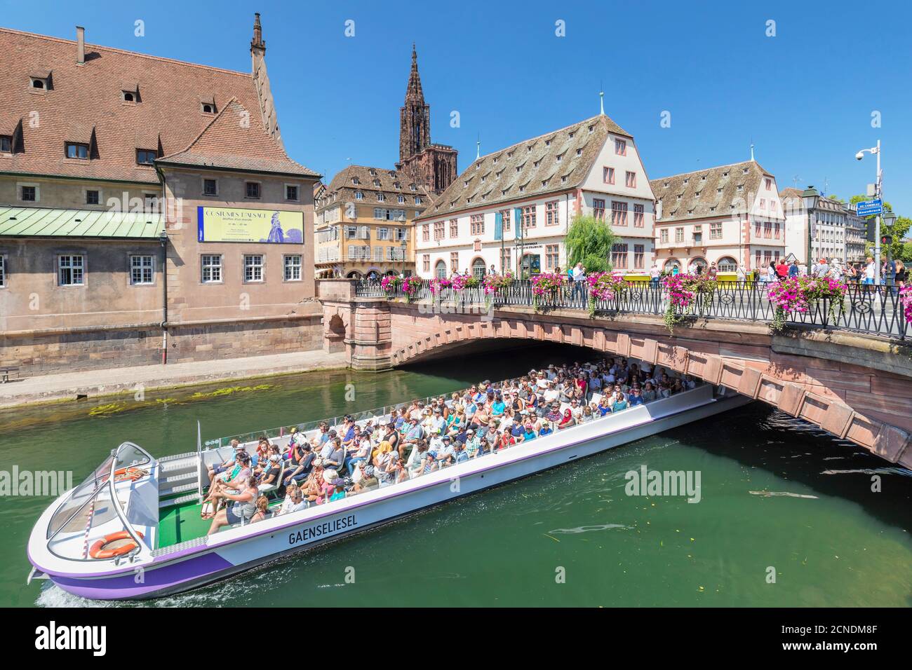 Ausflugsboot auf der Ill, Historisches Museum und Kathedrale, Straßburg, Elsass, Frankreich, Europa Stockfoto