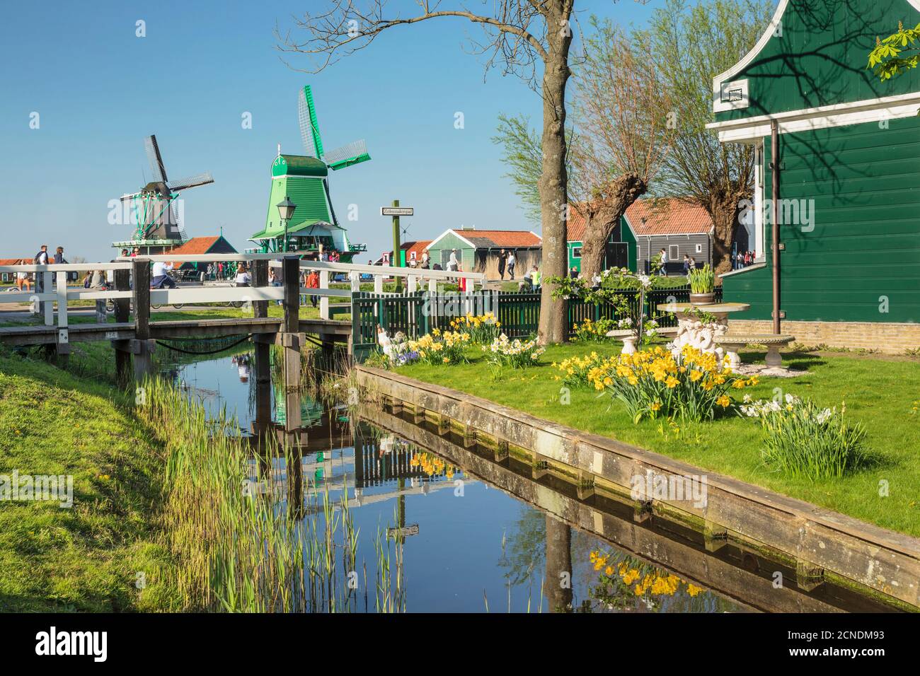 Traditionelles Dorf, Zaanse Schans, Zaandam, Nordholland, Niederlande, Europa Stockfoto