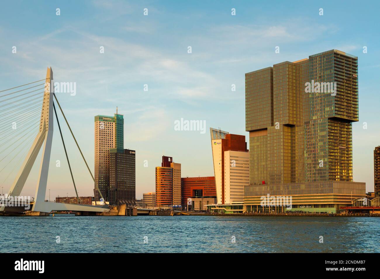 Erasmusbrücke über den Fluss Nieuwe Maas bei Sonnenuntergang, Rotterdam, Südholland, Niederlande, Europa Stockfoto