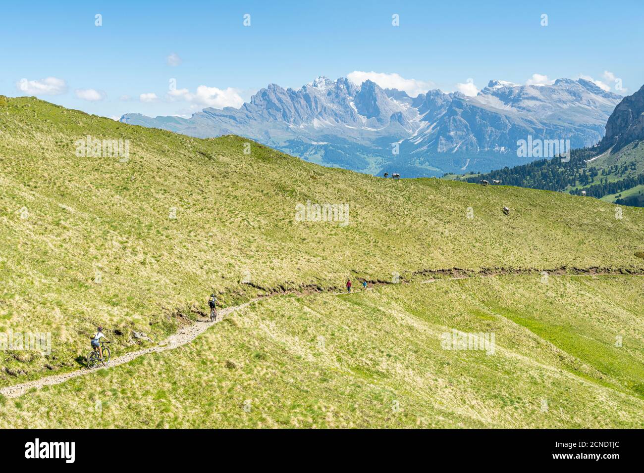 Mountainbikes und Wanderer auf dem Weg am Duronpass mit der Geisler Gruppe im Hintergrund, Dolomiten, Trentino-Südtirol, Italien, Europa Stockfoto