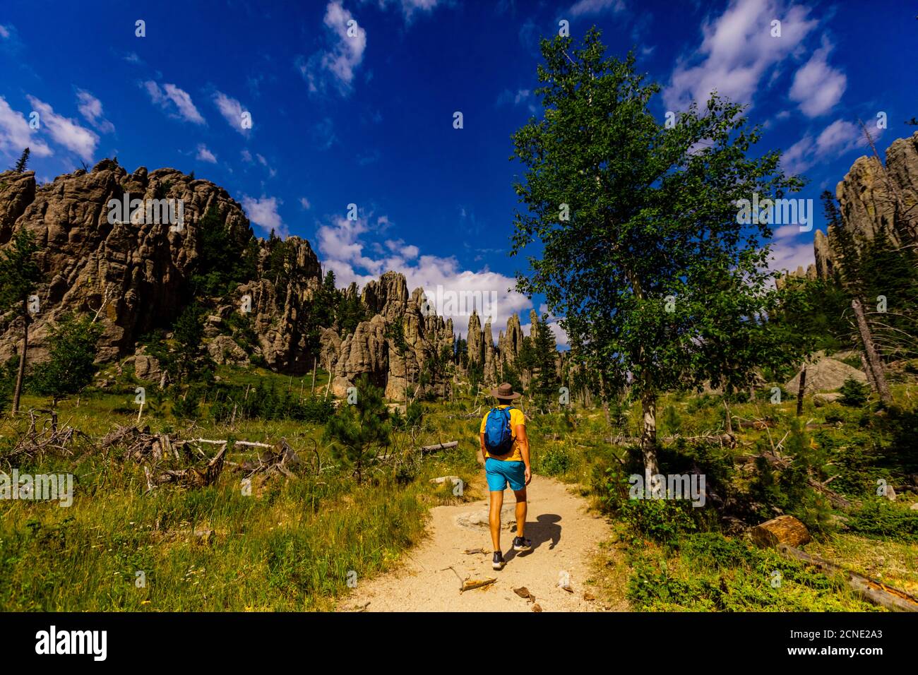 Man wandert auf den Wegen und genießt die Sehenswürdigkeiten in den Black Hills von Keystone, South Dakota, USA Stockfoto