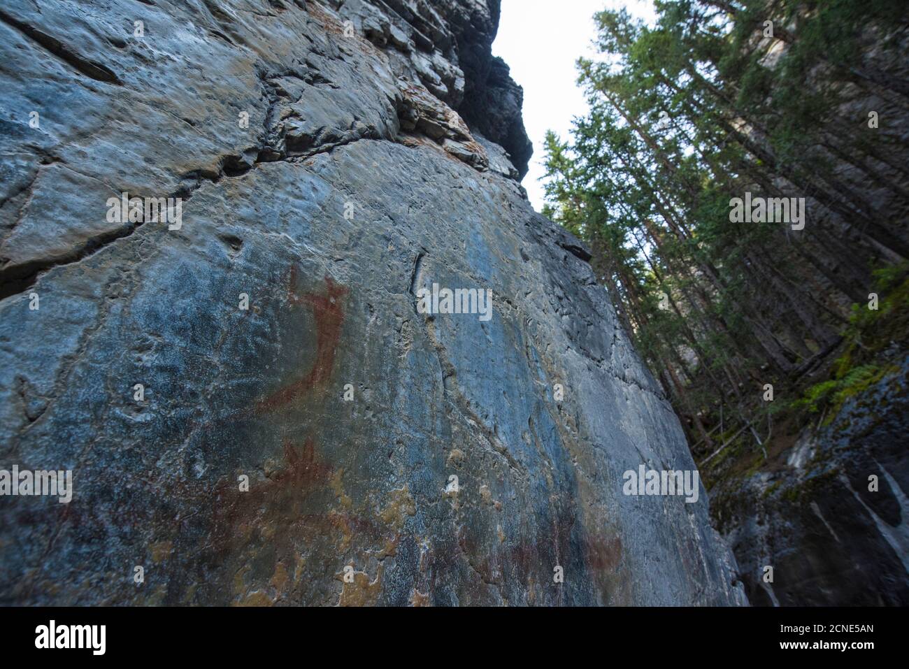 Uralte indigene Piktogramme an einer Canyon Wand, Grotto Canyon, Alberta, Kanada Stockfoto