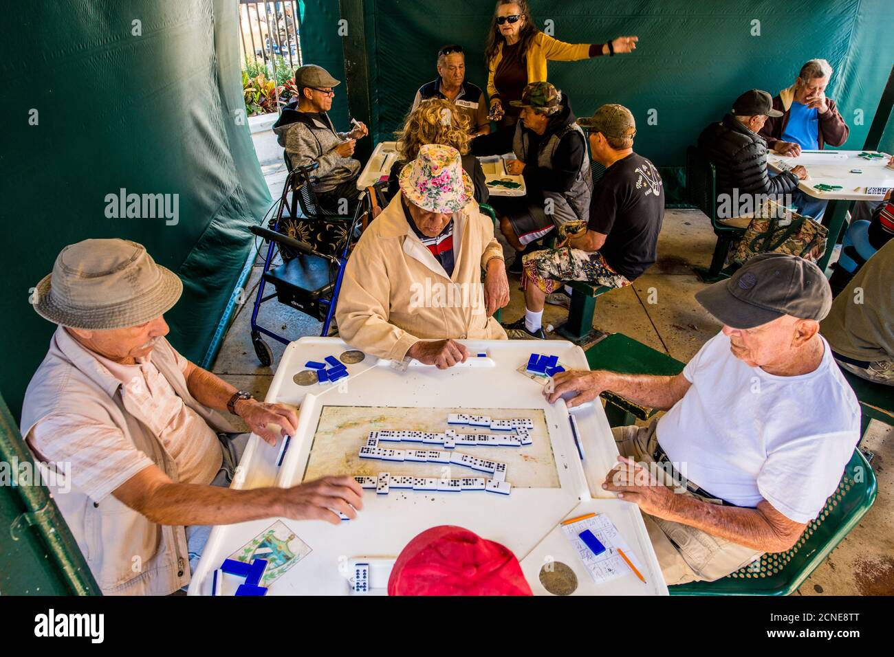 Dominospiele im Maximo Gomez Park (Domino Park), Little Havana District, Miami, Florida, Vereinigte Staaten von Amerika Stockfoto