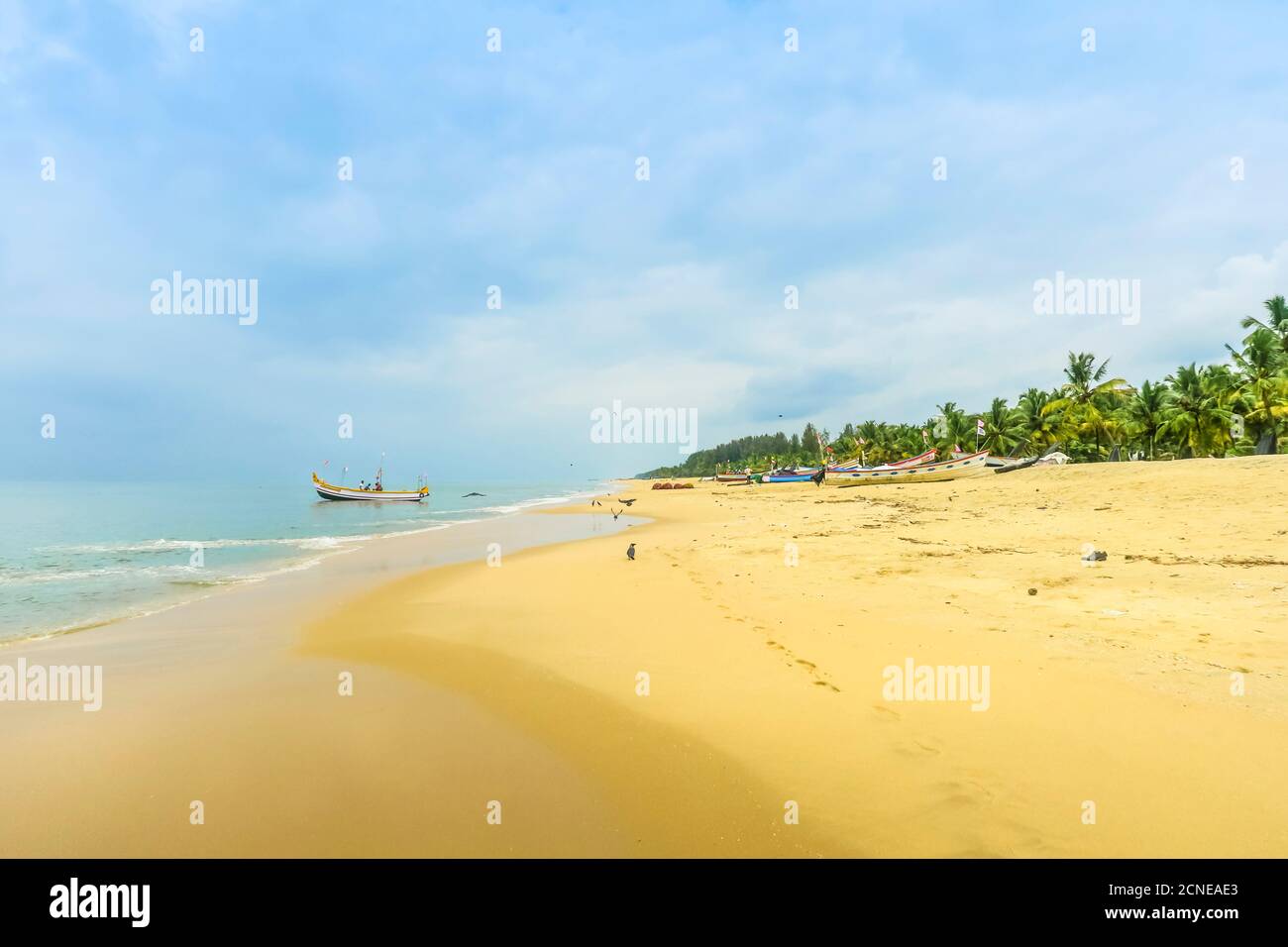Goldener Sand, Palmen und allgegenwärtige Hauskrähen am beliebten Marari Beach, Mararikulam, Alappuzha (Alleppey), Kerala, Indien, Asien Stockfoto