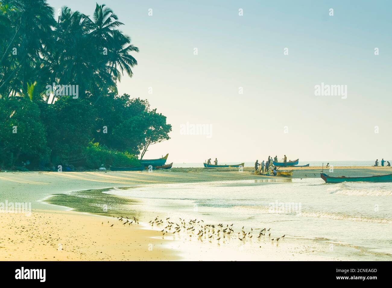 Fischer und Watvögel am schönen Kizhunna Strand, südlich von Kannur an der Kerala Nordküste, Kizhunna, Kannur, Kerala, Indien, Asien Stockfoto