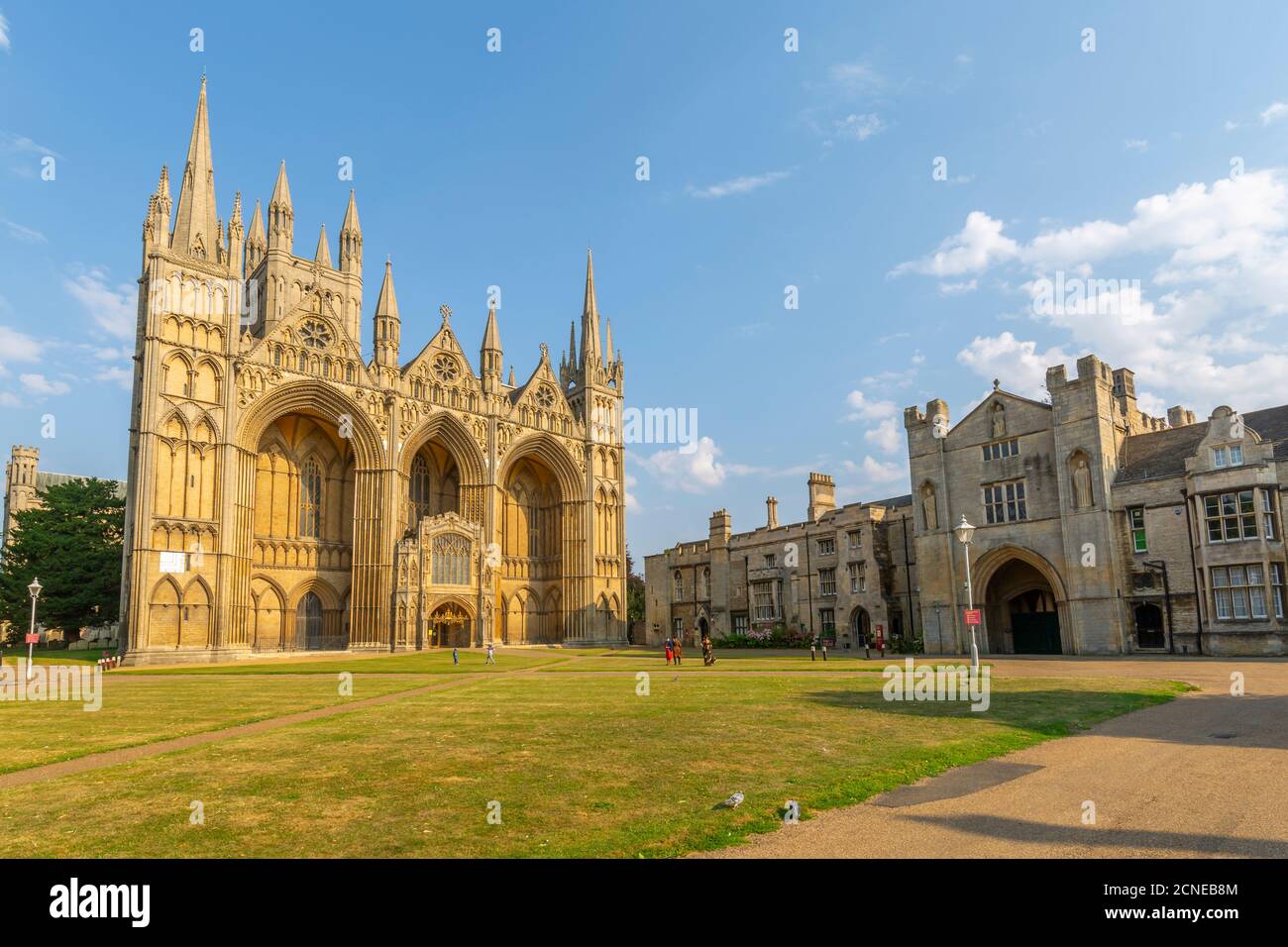 Blick auf die gotische Fassade der Peterborough Cathedral vom Dean's Court, Peterborough, Northamptonshire, England, Großbritannien, Europa Stockfoto