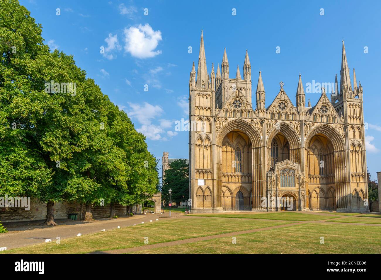 Blick auf die gotische Fassade der Peterborough Cathedral vom Dean's Court, Peterborough, Northamptonshire, England, Großbritannien, Europa Stockfoto