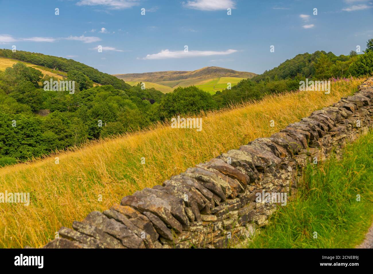Blick auf Trockenmauern, Wälder und Hügel rund um Hayfield, High Peak, Derbyshire, England, Großbritannien, Europa Stockfoto