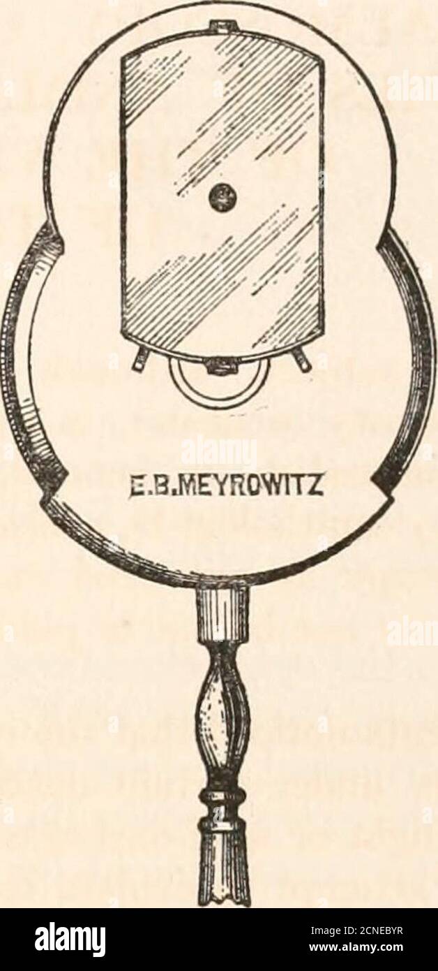 . Die Fundusokuli von Vögeln, besonders vom Ophthalmoskop betrachtet; Eine Studie in der vergleichenden Anatomie und Physiologie . und die Platzierung des Spiegels in der Nähe des eigenen Auges und ca. 40 oder 50 cm. Vom zu untersuchenden Auge reflektiert das Licht auf dem letzteren, während helooks an ihm durch die kleine Öffnung im ophthalmoskopischen Spiegel. Bei sehr kurzsichtigen und sehr langsichtigen Augen, aber nicht bei normalen Augen, können die Gefäße der Netzhaut, der Eintritt des Sehnervs usw. mehr oder weniger deutlich gesehen werden. Die Details der Netzhaut, der Aderhaut usw. (Orfundus) können auf zwei verschiedene Arten gesehen werden: In der Ind Stockfoto