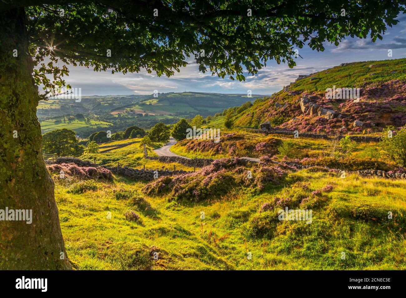 Blick auf curbar Kante in Baslow Kante, Baslow, Nationalpark Peak District, Derbyshire, England, Vereinigtes Königreich, Europa Stockfoto