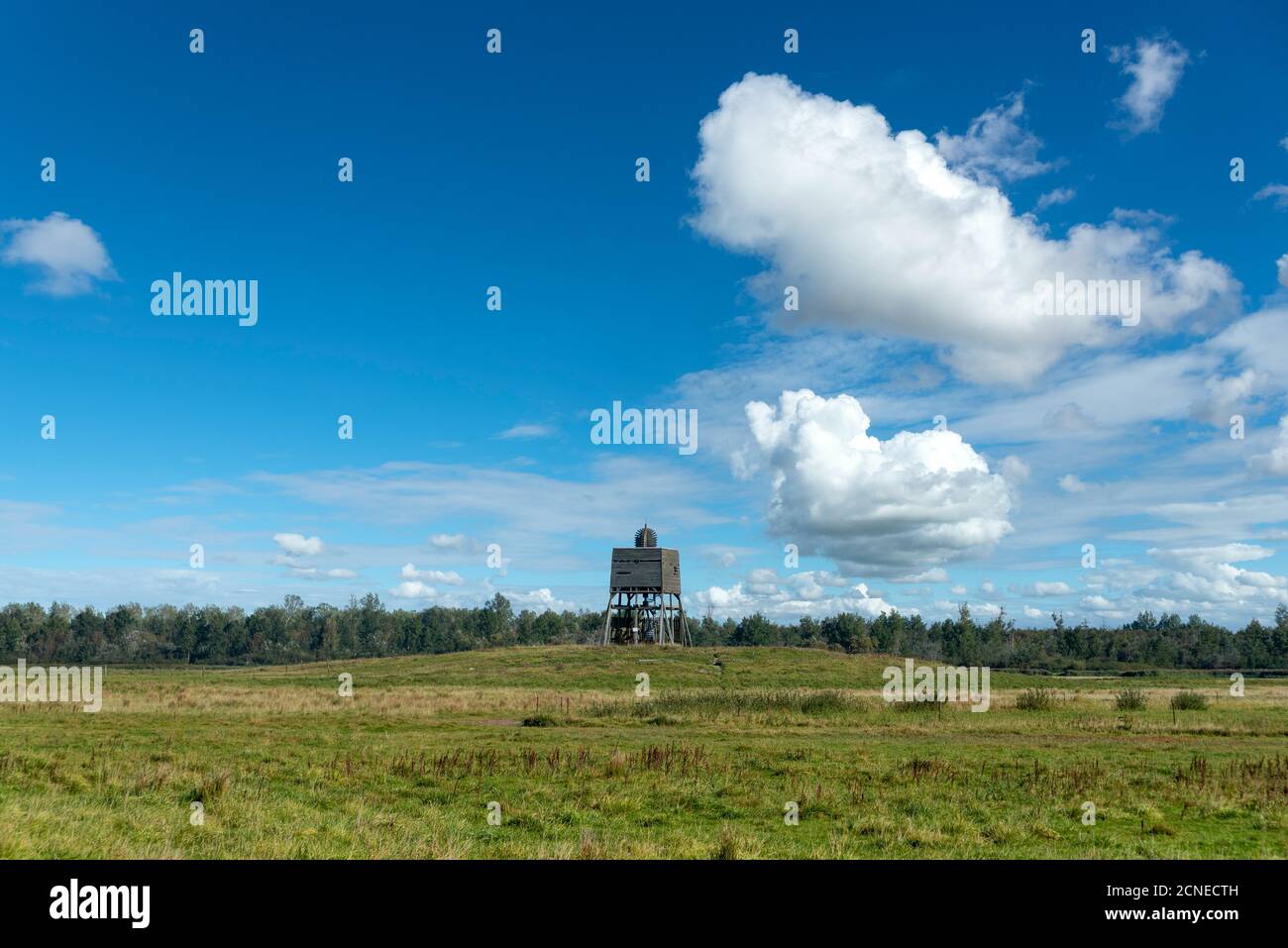 Landschaft des Katinger Watt mit Vogelbeobachtungsturm, Tönning, Schleswig-Holstein, Deutschland, Europa Stockfoto