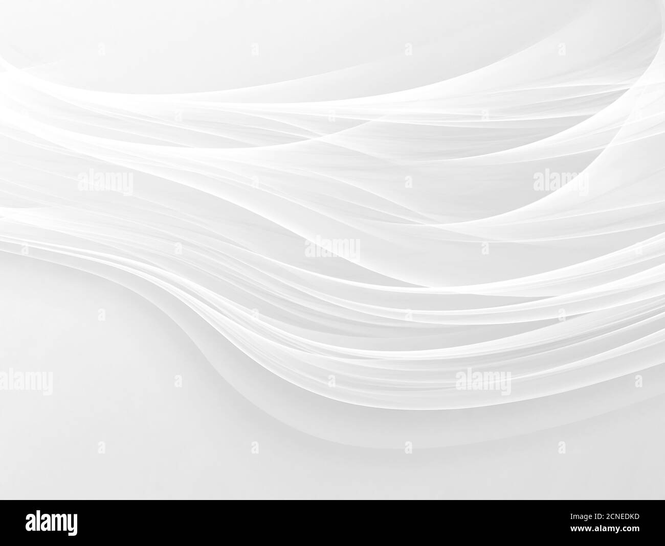 weißem Hintergrund Stockfoto