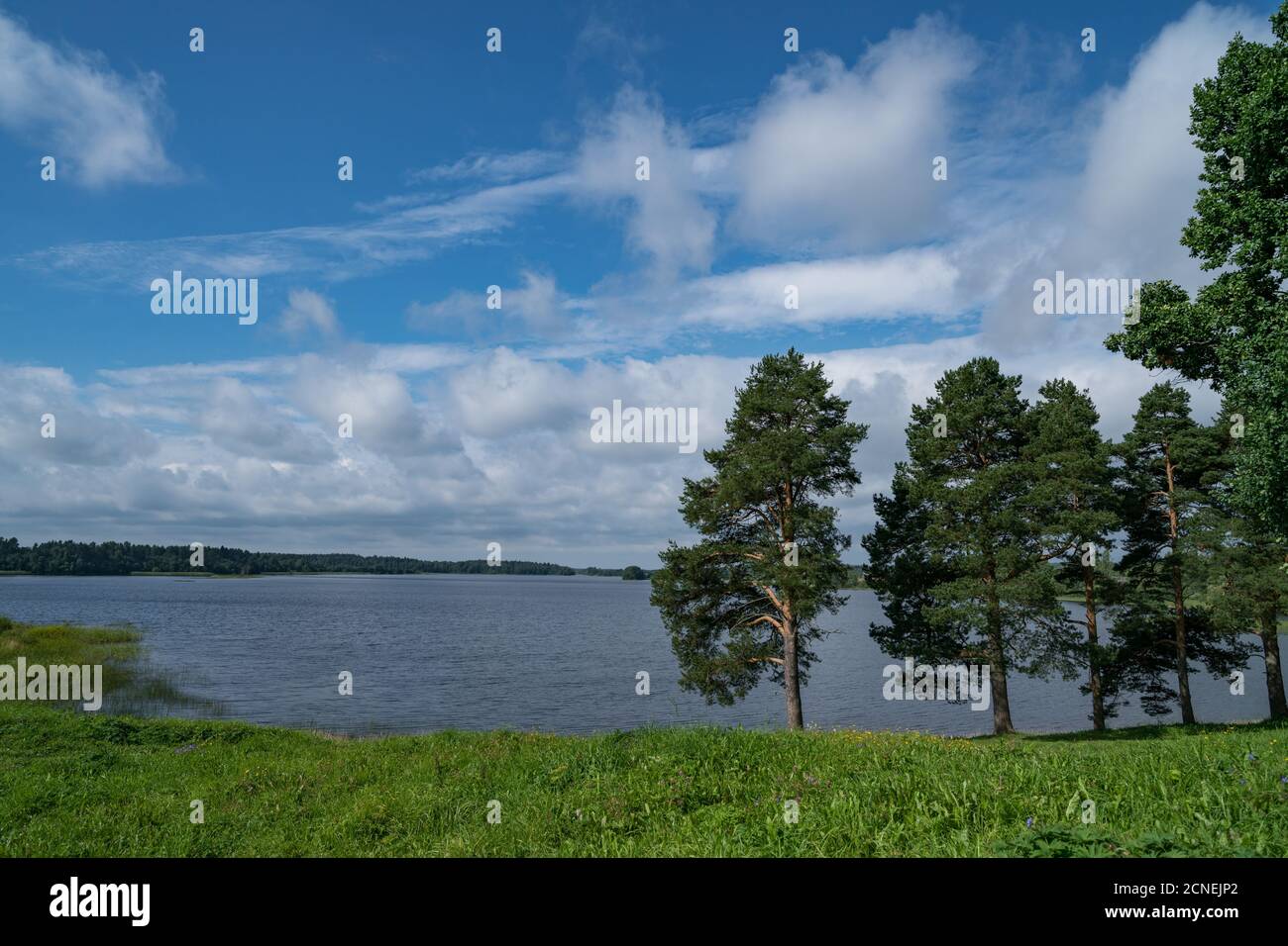 Borodoevskoye See in Ferapontowo, Wologda Region, Russland Stockfoto