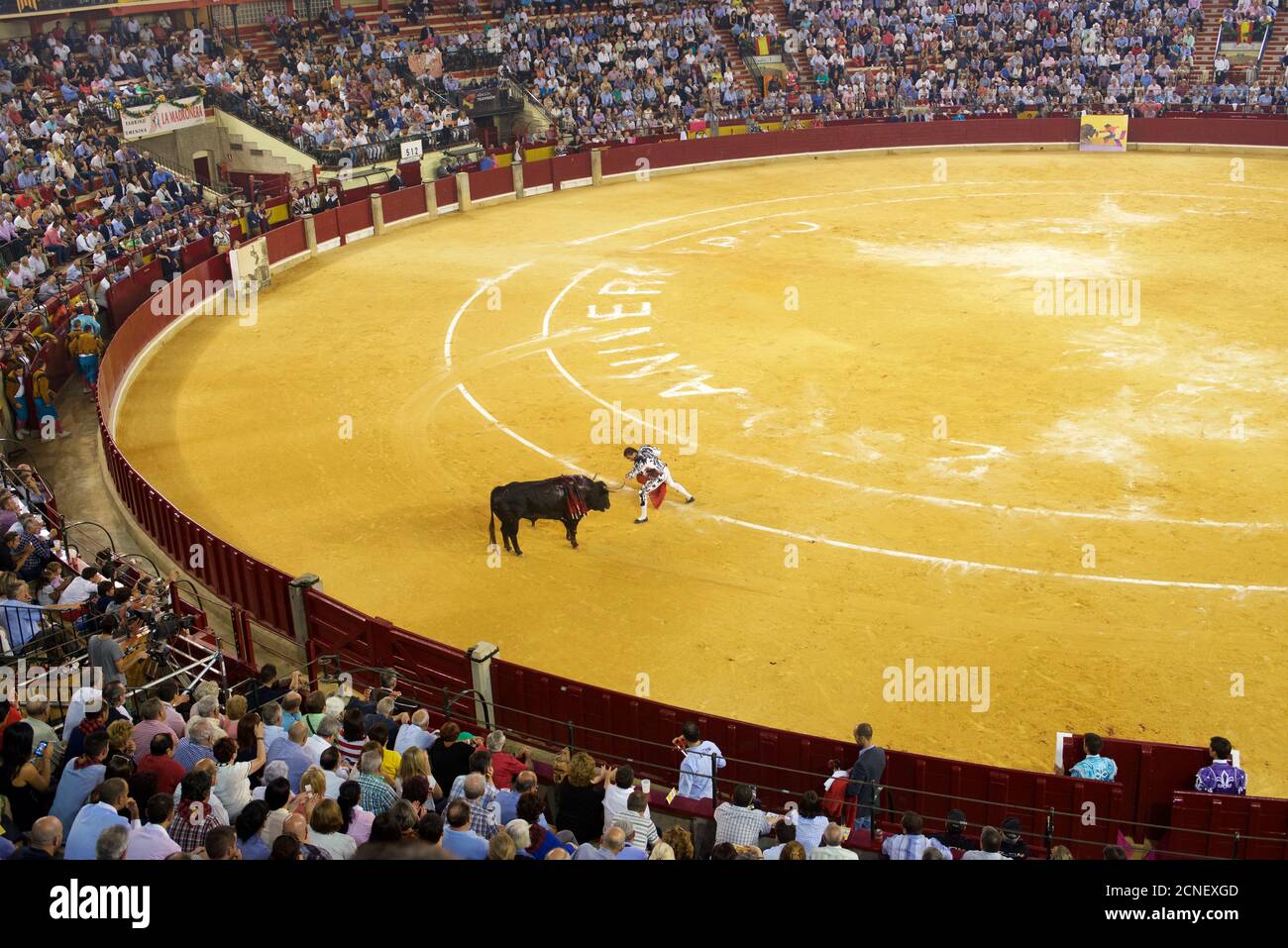 Zaragoza, Spanien - 8. Oktober 2014: Der spanische Stierkämpfer El Fandi in einem Stierkampf. Stockfoto