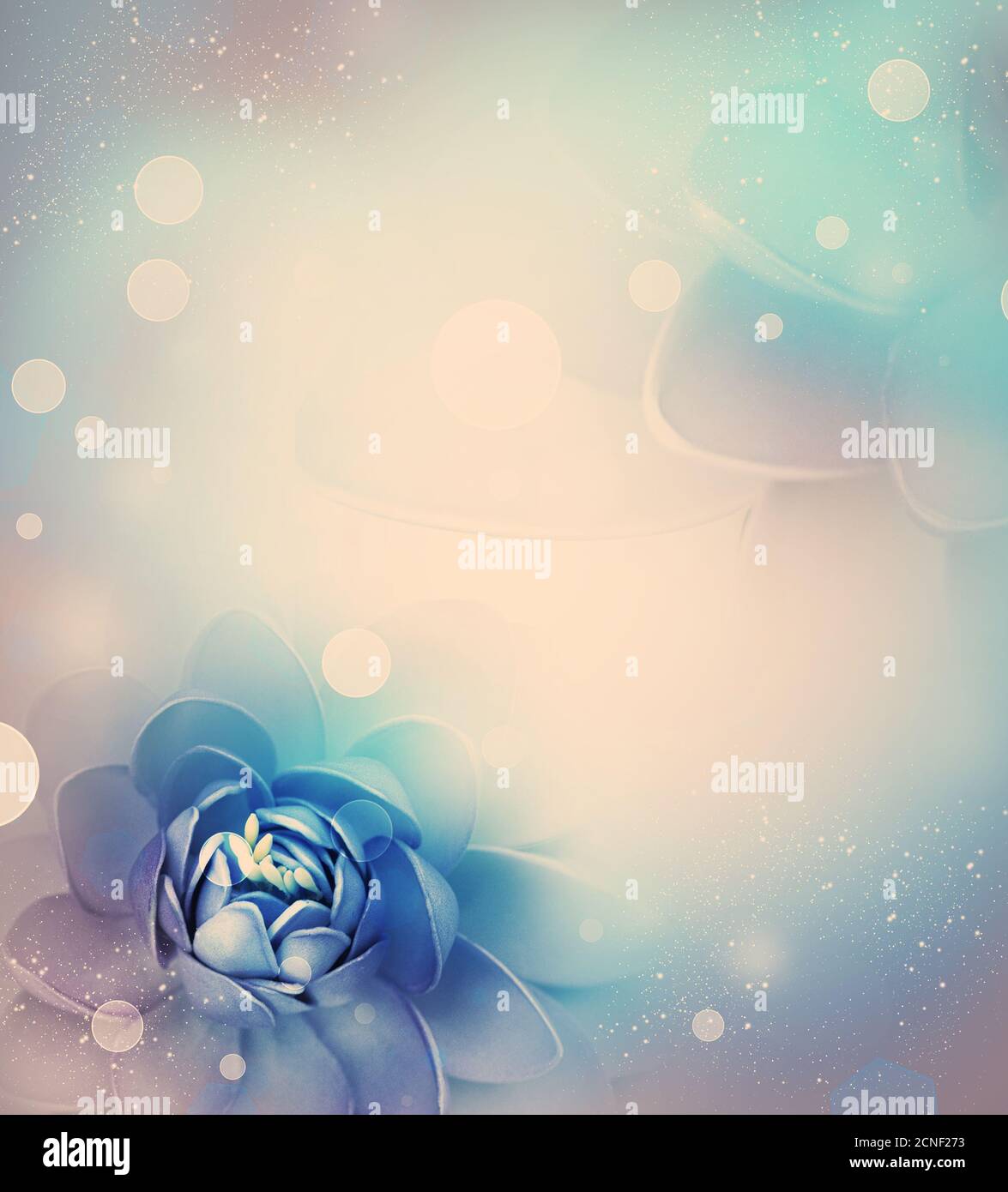 lily Blume auf hellem Hintergrund Stockfoto