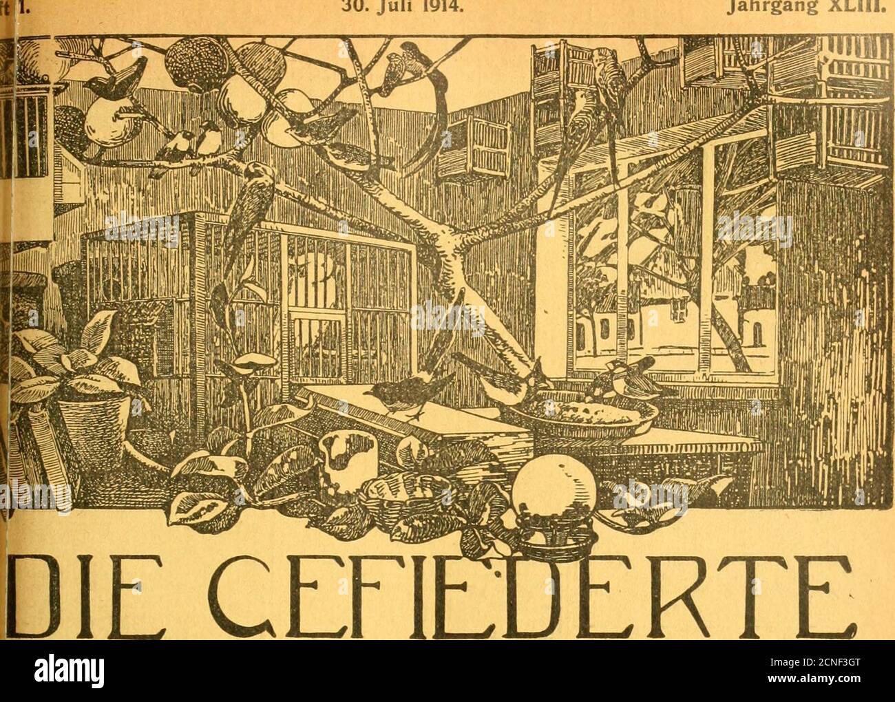 . Die gefiederte Welt . atarter oeiliere unb tiart, juroeilen fc^mettetnbetrege; juroeilen laffe tä eine ©tropfe ^öien, loeld^e an ben@efang beä ©artenfüngetä erinnere, no(^feltenet einen flötenbeniRuf, ö^ Jonklic   bem über aide. Betantlrortlic^ füt bie SC^tifttcitung :Sarl!Rcunai9,«CRM 168 bor[ bei Serliit; füt ben 2tii jeigeiitcir: ScaiijSBiinberlteS, ajJaflbutg, fflreitet BScfl  -Bettog ber (Jreubfdjen SBaiaibilio iaaburg. - arui Bon 81. 0 Pffet, 8ura 6. SR. 30. Juli 1914 Jahrgang XLIII... DIE CEFlWELT WOCHENSCHRIFT FÜR – VOGELLIEBHABER. – gegründet von Dr. Karl Ruß Stockfoto