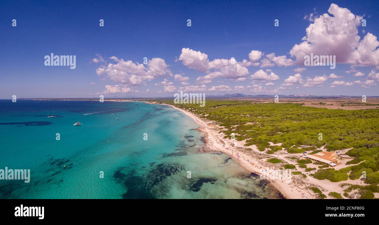 playa Es Trenc, Área Natural de Especial Interés, municipio de Campos, Mallorca, balearen, Spanien Stockfoto