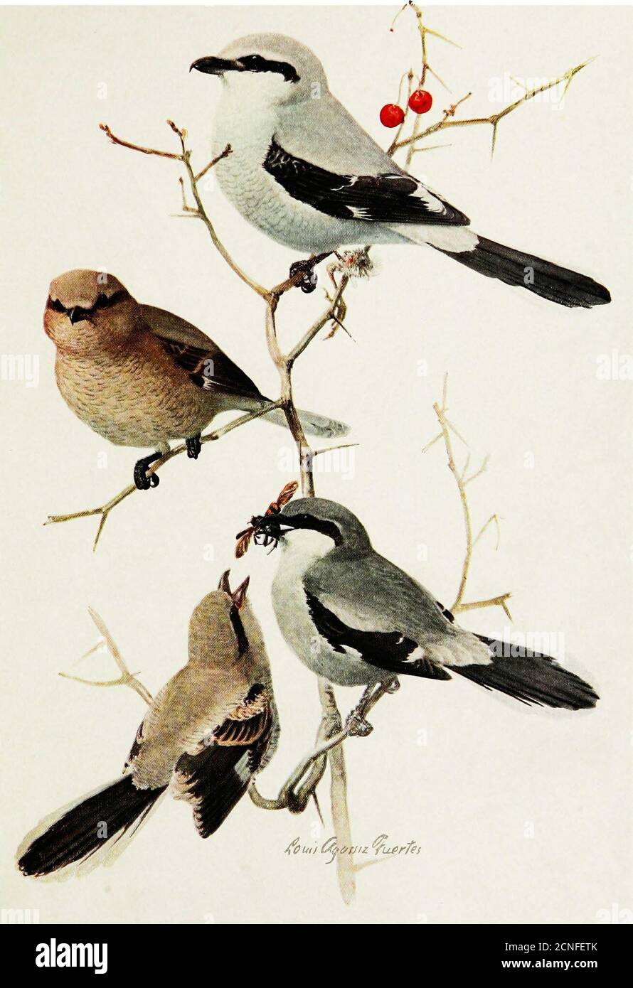 370 Z Stockfotos Und Bilder Kaufen Alamy