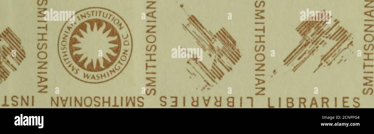 . Bird lore . m ISNINVINOSHillNS S3iyVdan LIBRARIES SMITHSONIAN INSTITUTION NOlifr- -, z r- Z  i es  SmithsonianINSTITUTION NOIinillSNI NVINOSHillMS.  S3 l8VHgn LIBR &gt; BRARIES SMITHSONIAN INSTITUTION NOIlf (f) – NVt/D Z r-J NLI 2 – es SNR ISNI NVINOSHIIWS S3ldVHA 1- Stockfoto