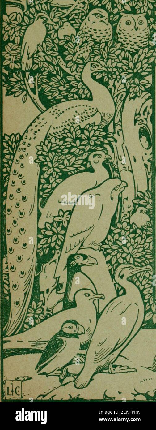 . Vogelnotizen und Nachrichten . INHALT. SOMMERNUMMER, 1909. 23, QUEEN ANNES TOR. Die Societys New Offices -Vogelfang in engem ZeitDie Plume Trade Notes Plume Birds of New South Wales – die Bürste Türkei – Seltene Vögel in Großbritannien – der Baumeister und die Vögel. Die Royal Society for the Protectionof Birds - Council Meeting - Obituary - AnimalProtection Congress. Wirtschaftliche Ornithologie - die Bauern und die Kiebitz - VogelNützlich und schädlich - der Wert des Buches. Vogelschutzordnungen - Vogelleben in der Schweiz - in den Gerichten Page69 70 71 72 Stockfoto