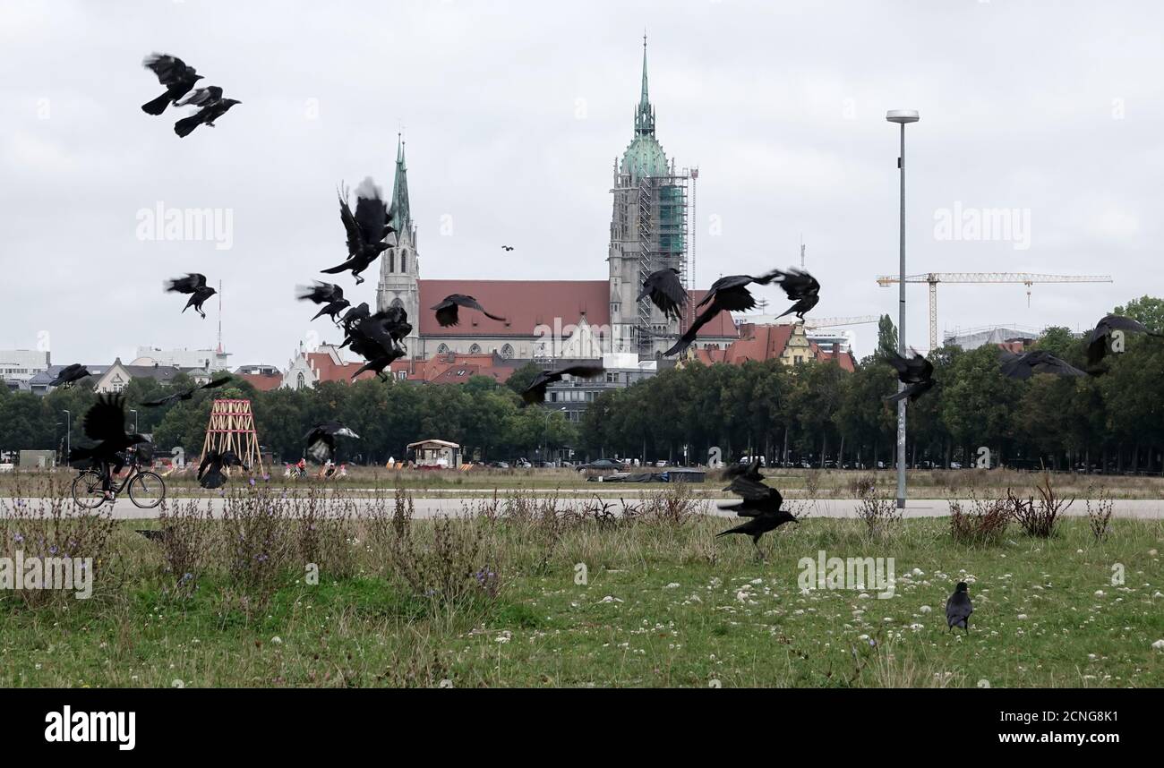 18. September 2020, Bayern, München: Vögel fliegen über die Theresienwiese. Im Hintergrund sieht man die Kirche St. Paul. Normalerweise hätte das Oktoberfest am 19.09.2020 auf der Theresienwiese eröffnet. Das größte Volksfest der Welt wurde wegen der Corona Pandemie 2020 abgesagt. Foto: Josefine Kaukemüller/dpa Stockfoto