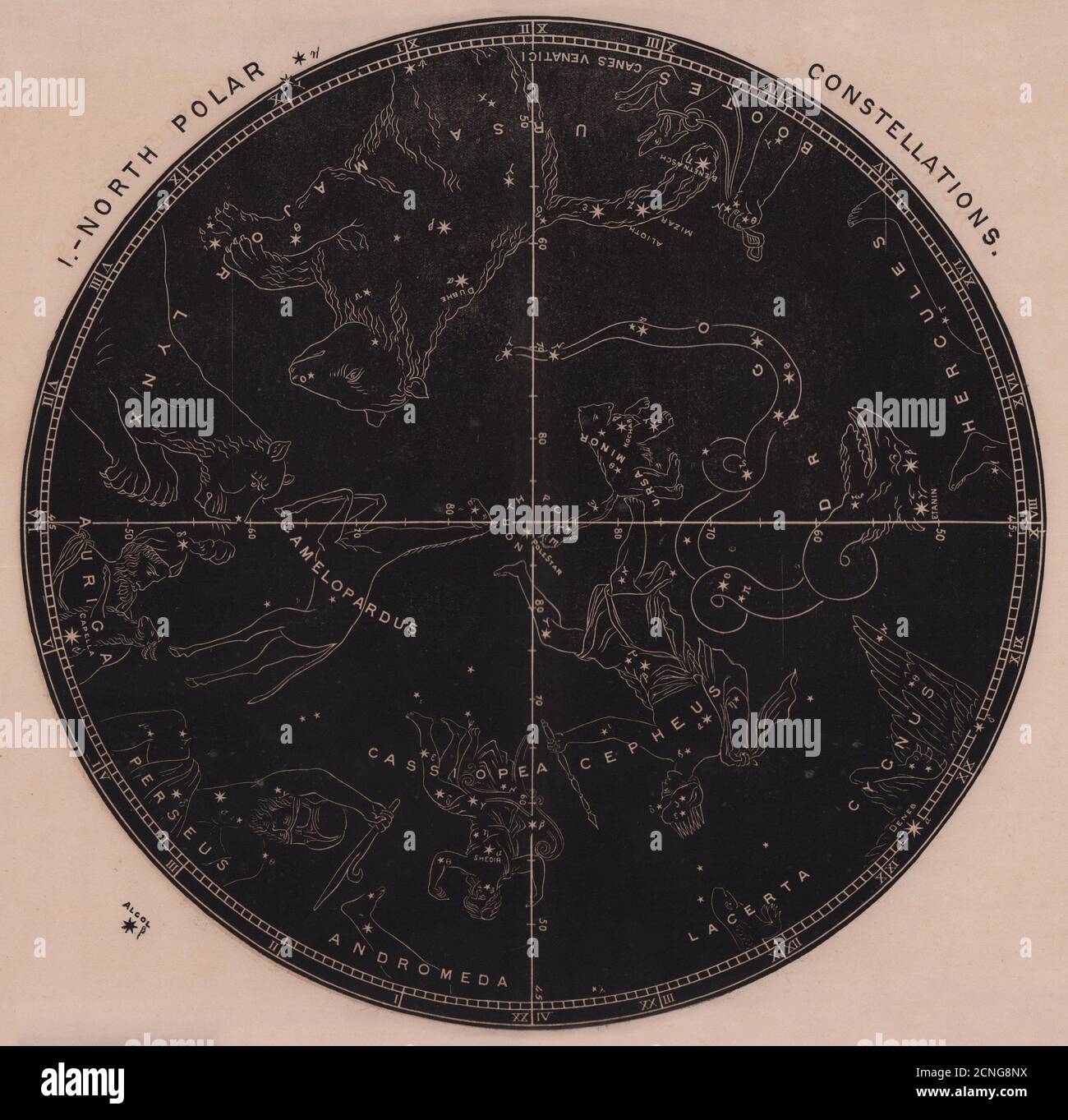 Sternenkarte. Nordpolarkonstellationen. Nordpol bis 45 Grad Astrologie 1875 Karte Stockfoto
