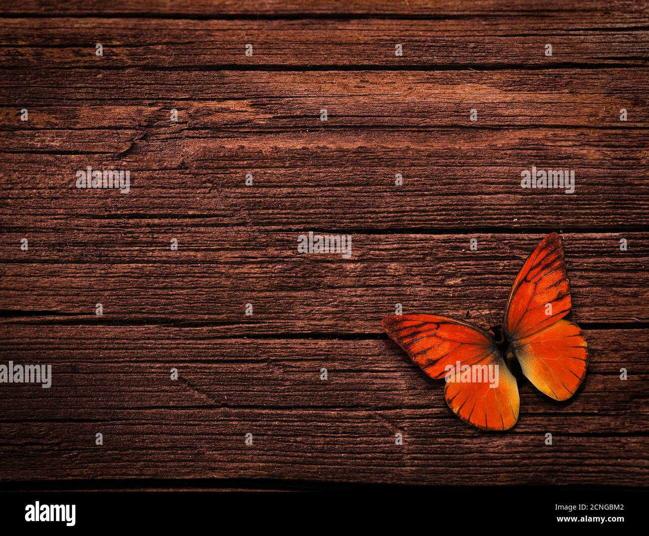 Natürliche Hintergrund Stockfoto