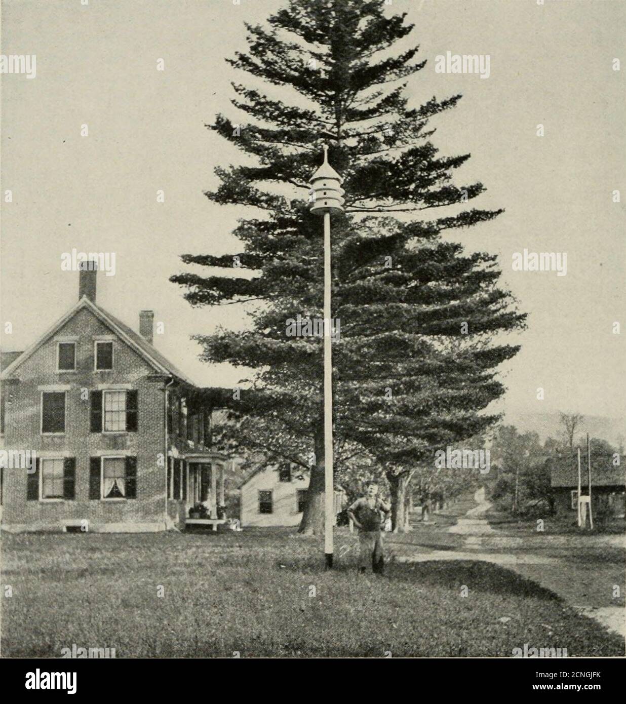 . Bird-lore . lund, Direktor der Schule Nr. 5, Bronx, NewYork Citj^ lieh freundlicherweise eine große Anzahl von Vogelkisten, die von den Schülern seiner Schule vorbereitet wurden. Diese represeleda breite Vielzahl der architektonischen Konstruktion-tion, und viele waren außerordentlich schön-ful. Es wurde auch eine Untersuchung der einzigartigen Fass-Vogel-Nistbox ausgestellt, ausgestellt von Mr. Ernest Harold Baynes, Proben der von Berlepsch Vogelkisten, und eine der amerikanischen Form der vonBerlepsch Box, hergestellt von Mr. Philip E. Perry, aus Massachusetts. Herr J.Warren Jacobs, aus Waynesburg, Pennsyl-vania, schickte Bilder, Diagramm und lite Stockfoto