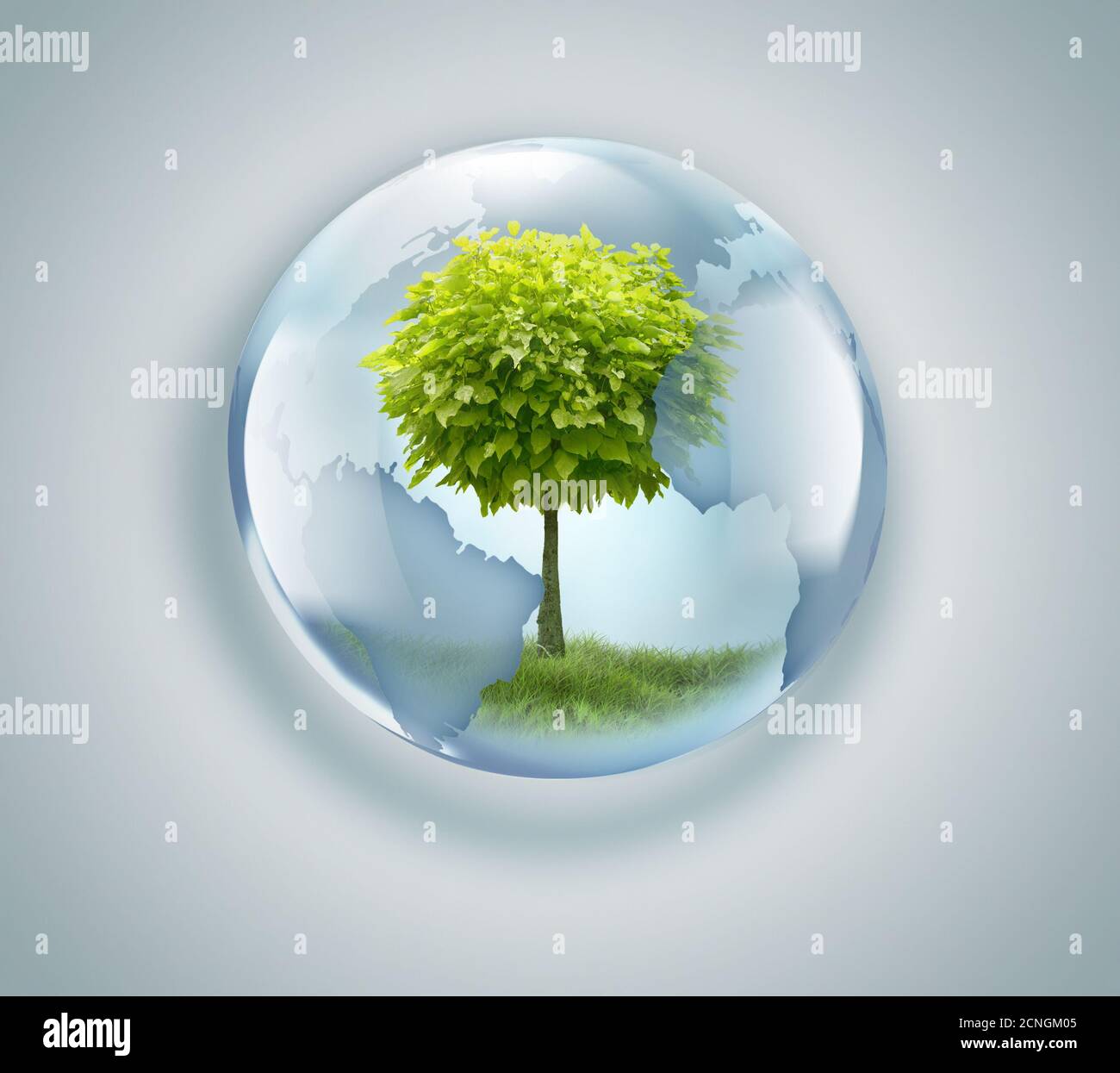 Globus mit Baum im Inneren Stockfoto
