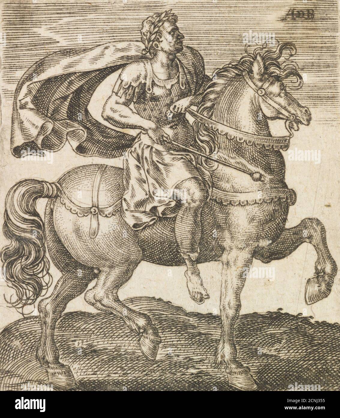 Ein Vitellius aus zwölf Caesaren auf dem Pferderack1565-1587. Stockfoto