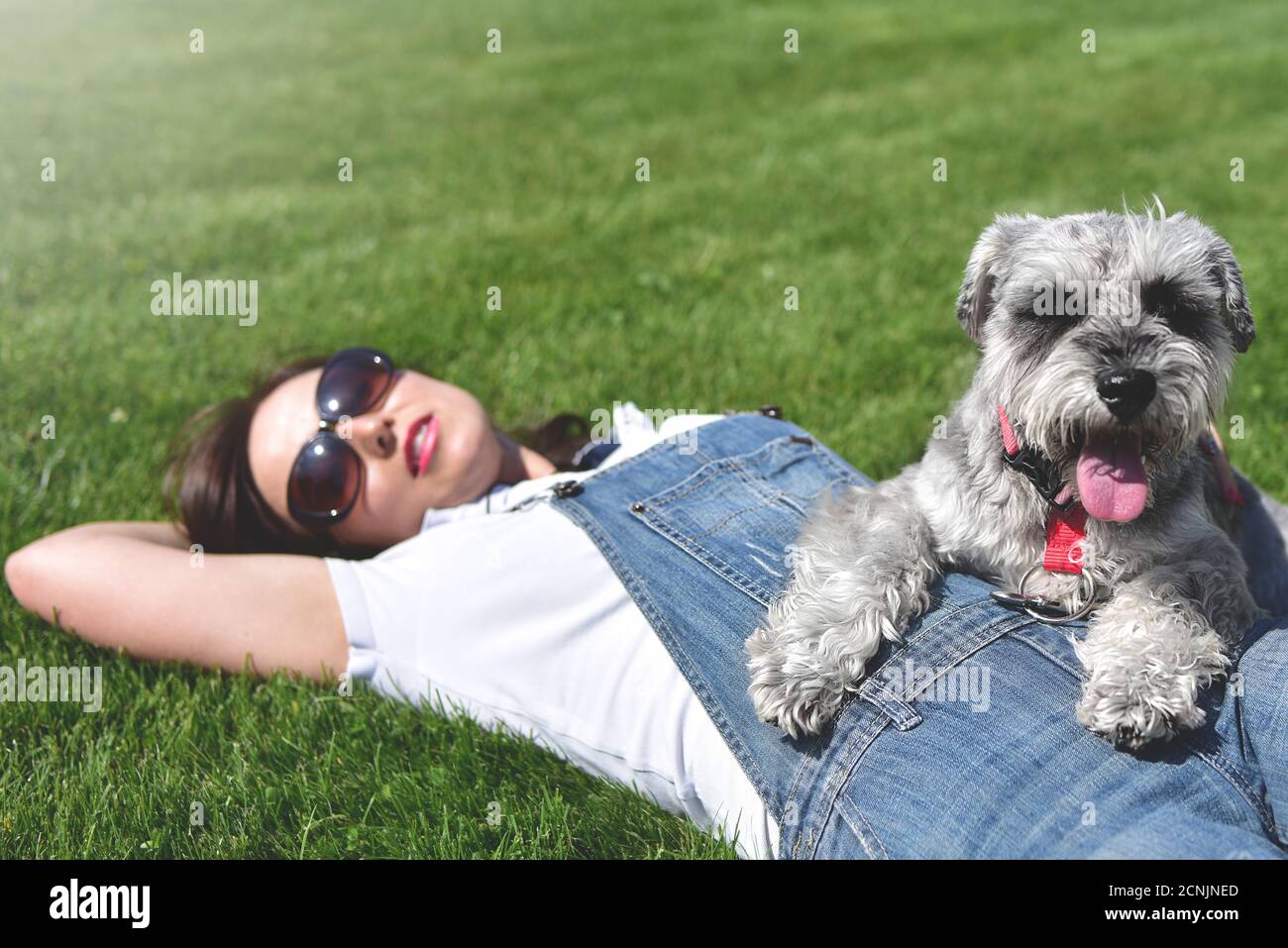 Hübsche Erwachsene kaukasische glückliche Frau, die sich an einem sonnigen Tag mit ihrem geliebten Hund im Park ausruhte. Weibchen liegt auf dem Gras, lächelnd an Stockfoto